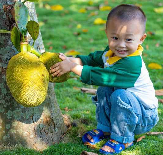Baby with Jackfruit